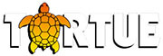 TORTUE
