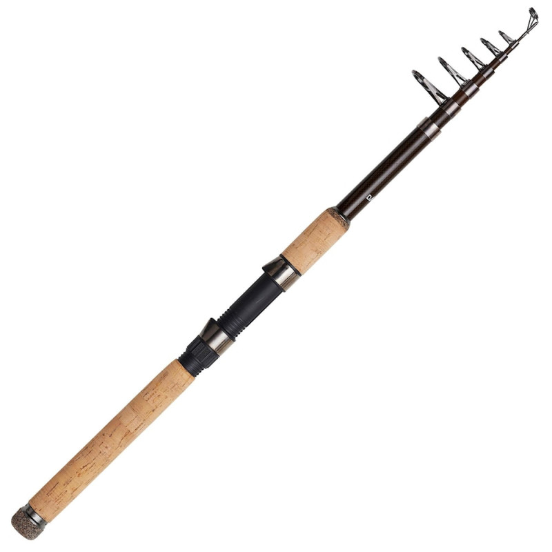 DAM Backbone II tele 3.30m/60-160g