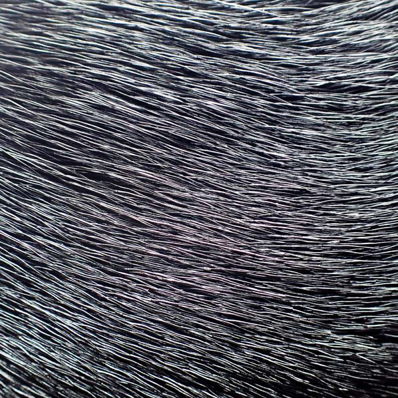 Srnina Dlaka Black, 5 x 5 cm