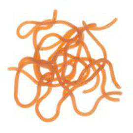 Squirmy Worms