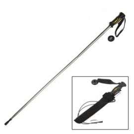 Palica Wading Staff