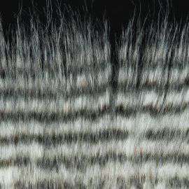 Grizzly Hair