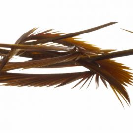 Gosja Peresa Goose Biots Cinnamon