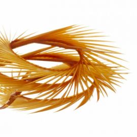 Gosja Peresa Goose Biots Ginger