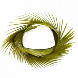 Gosja Peresa Goose Olive