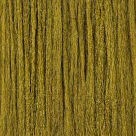Antron Yarn-P.M.D.Shuck/Olive