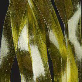 Sow Scud Back-Olive