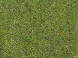 SLF Squirrel Dubbing-Green Olive