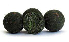 SuperFeed Boilies 18mm/10kg GLM Mussel