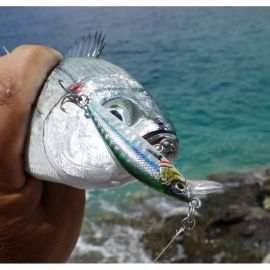 Gravity Minnow 5cm/8g Pink Belly Sardine